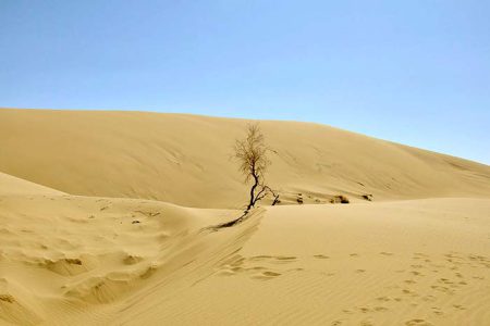 Listening to the Sand in Maranjab desert