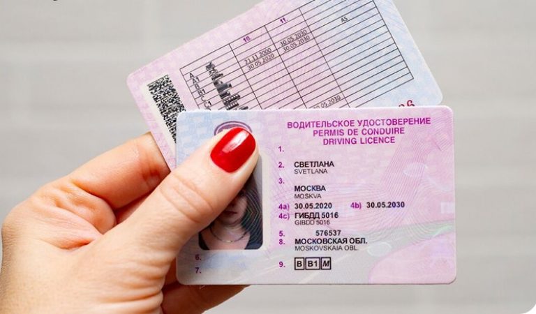 International Driving Permit