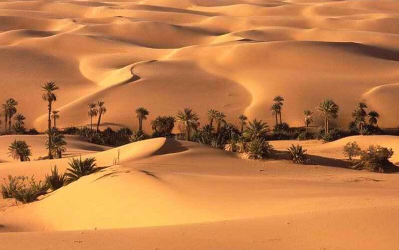 Loot desert